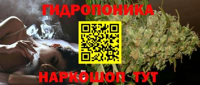 винт Камышлов
