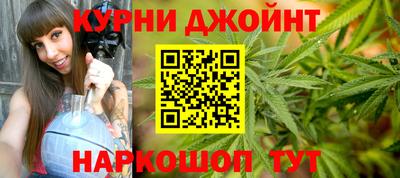 гидра Кингисепп